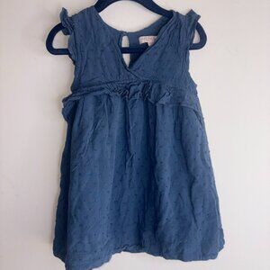 Pink Chicken New York 100% Cotton Little Girls Blue Polka Dot Dress size 2Y